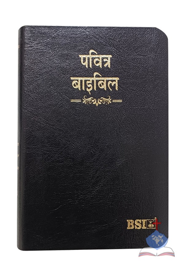 Hindi (OV 25) Compact Bible with Thumb Index