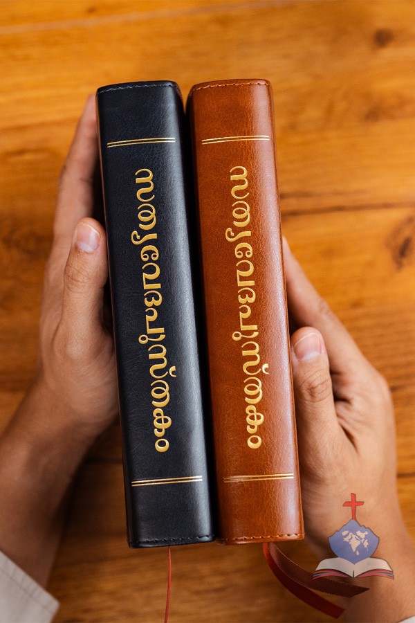 Premium Malayalam Bible - Sathyavedapusthakam - Red Letter, Large Print, Black- Bonded Leather