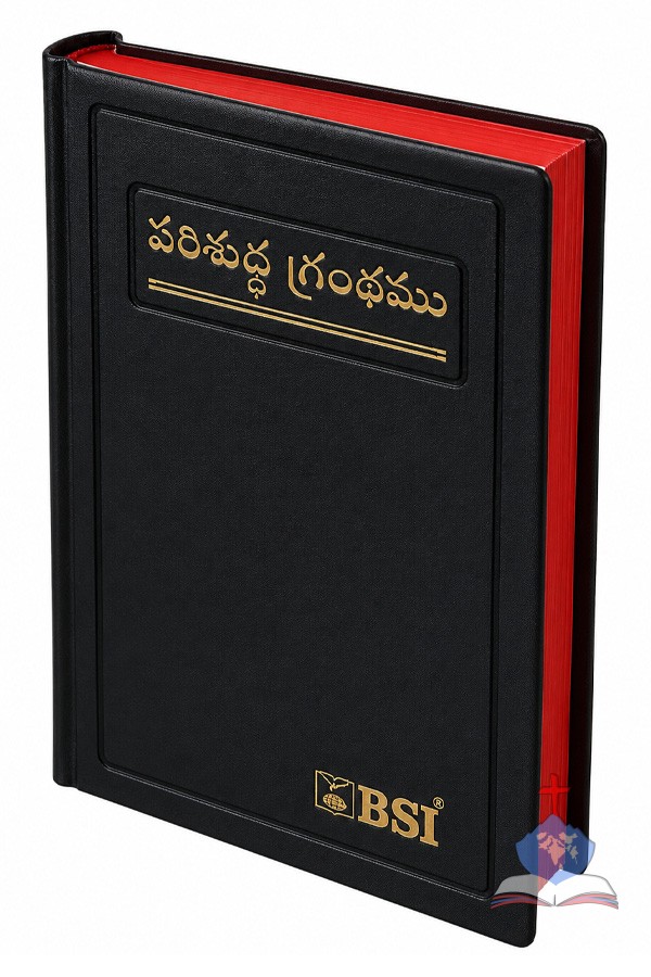Telugu Outreach (Ordinary) Bible