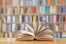 Parallel Bibles